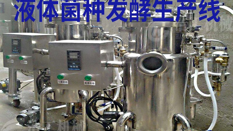 食品加工设备加盟代理：揭秘盈利背后的关键要素